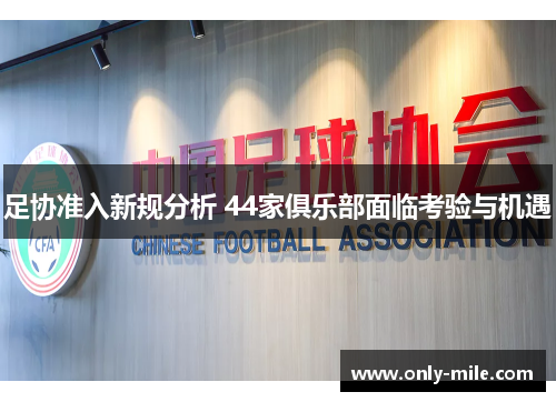 足协准入新规分析 44家俱乐部面临考验与机遇