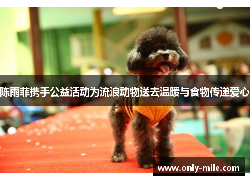 陈雨菲携手公益活动为流浪动物送去温暖与食物传递爱心