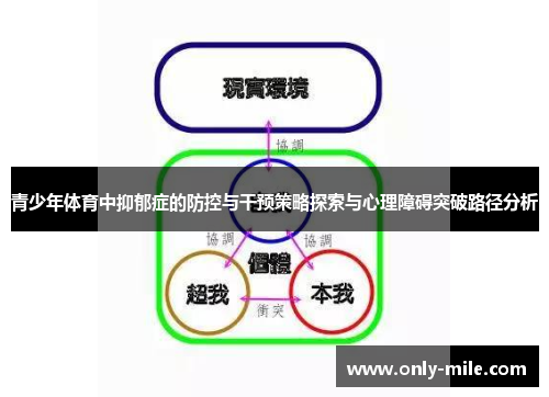 青少年体育中抑郁症的防控与干预策略探索与心理障碍突破路径分析 青少年体育中抑郁症的防控与干预策略探索与心理障碍突破路径分析