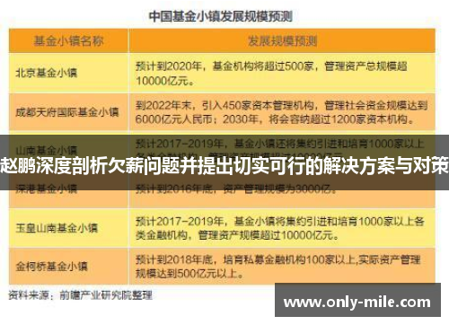 赵鹏深度剖析欠薪问题并提出切实可行的解决方案与对策