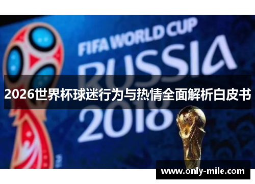 2026世界杯球迷行为与热情全面解析白皮书
